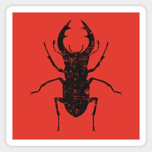 Stag beetle Sticker